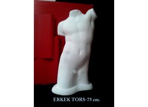 ERKEK TORS 